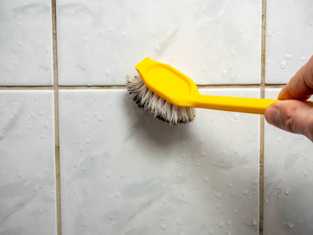 Best Mold Remediation  in Garberville, CA
