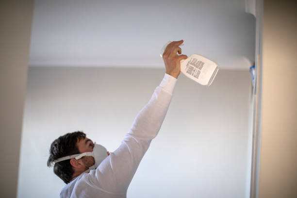 Best Office Mold Removal Services  in Garberville, CA