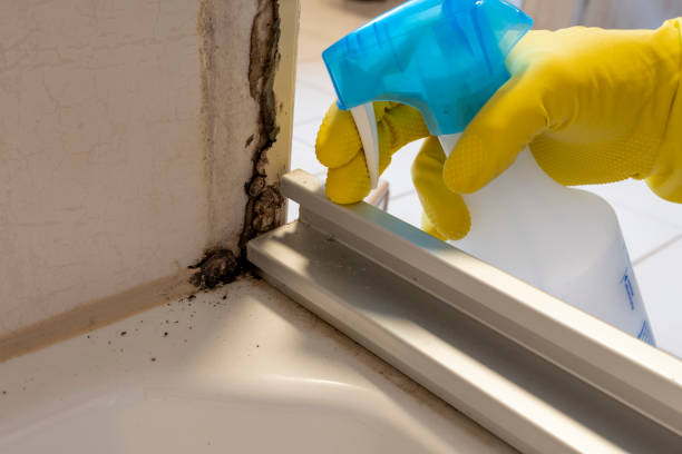 Best Water Damage Restoration  in Garberville, CA