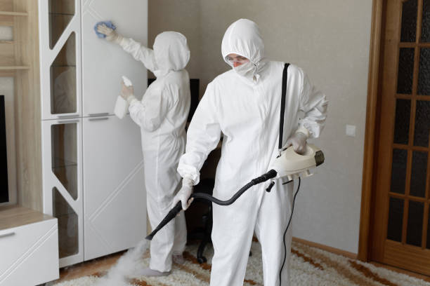 Best Professional Mold Removal  in Garberville, CA