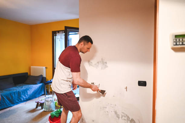 Best Mold Removal and Inspection  in Garberville, CA