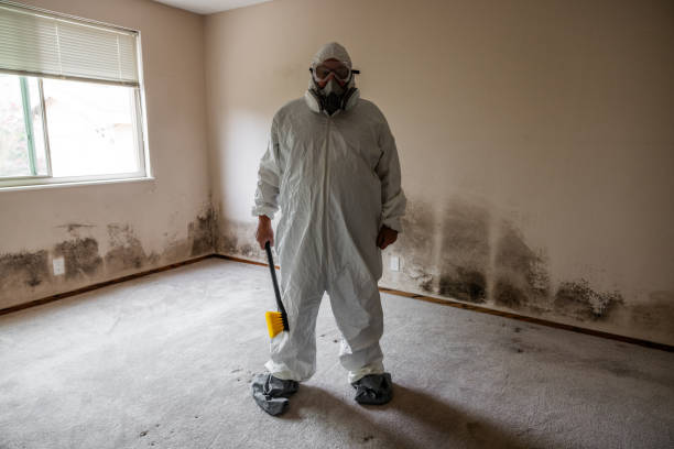 Best Best Mold Removal Companies  in Garberville, CA
